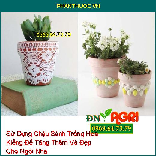 Sử Dụng Chậu Sành Trồng Hoa Kiểng Để Tăng Thêm Vẻ Đẹp Cho Ngôi Nhà