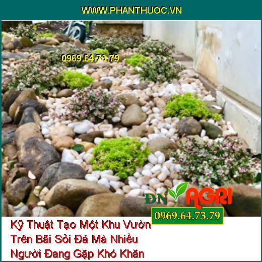 Kỹ Thuật Tạo Một Khu Vườn Trên Bãi Sỏi Đá Mà Nhiều Người Đang Gặp Khó Khăn