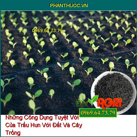 Những Công Dụng Tuyệt Vời Của Trấu Hun Với Đất Và Cây Trồng