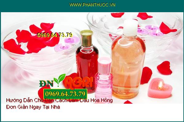 Hướng Dẫn Cho Bạn Cách Làm Dầu Hoa Hồng Đơn Giản Ngay Tại Nhà