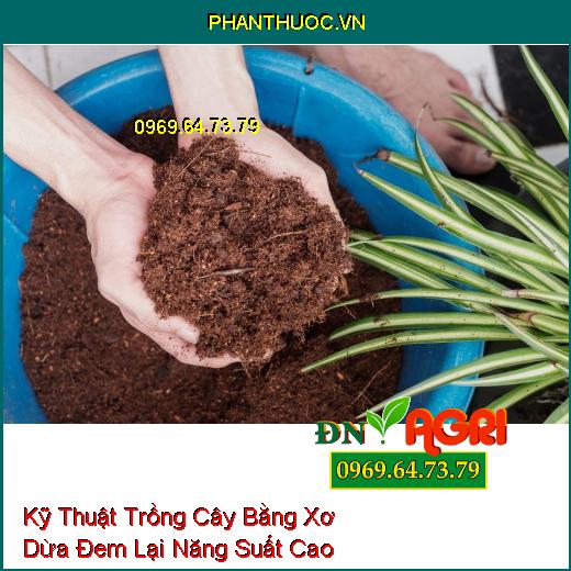 Kỹ Thuật Trồng Cây Bằng Xơ Dừa Đem Lại Năng Suất Cao