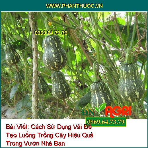 Cách Sử Dụng Vải Để Tạo Luống Trồng Cây Hiệu Quả Trong Vườn Nhà Bạn