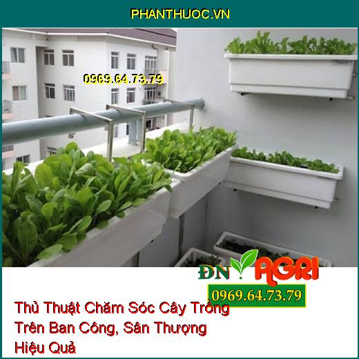 Thủ Thuật Chăm Sóc Cây Trồng Trên Ban Công, Sân Thượng Hiệu Quả