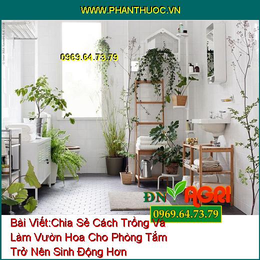 Chia Sẻ Cách Trồng Và Làm Vườn Hoa Cho Phòng Tắm Trở Nên Sinh Động Hơn