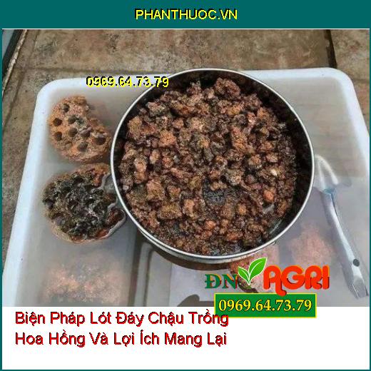 Biện Pháp Lót Đáy Chậu Trồng Hoa Hồng Và Lợi Ích Mang Lại