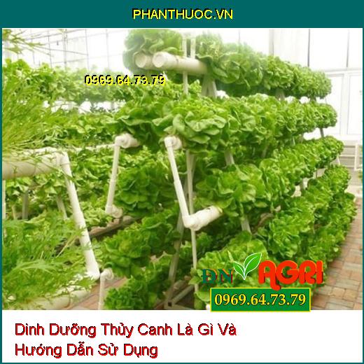 Dinh Dưỡng Thủy Canh Là Gì Và Hướng Dẫn Sử Dụng