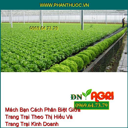 Mách Bạn Cách Phân Biệt Giữa Trang Trại Theo Thị Hiếu Và Trang Trại Kinh Doanh