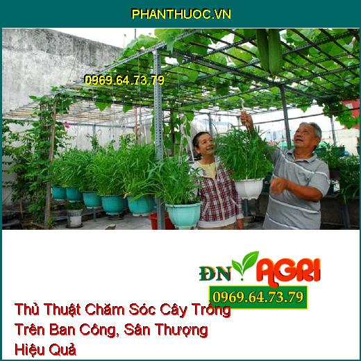 Thủ Thuật Chăm Sóc Cây Trồng Trên Ban Công, Sân Thượng Hiệu Quả