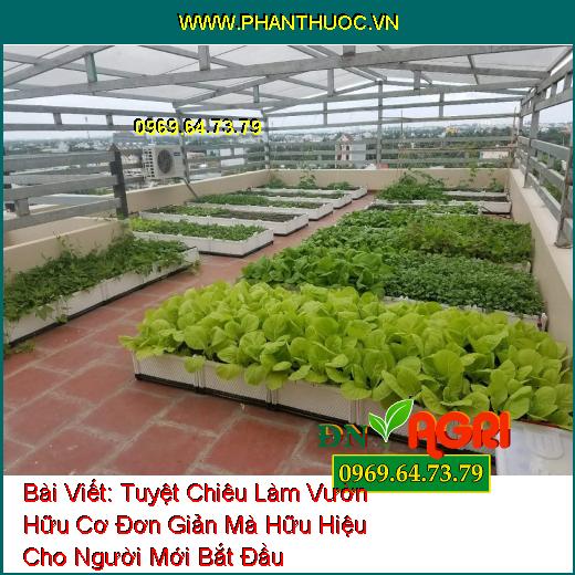 Tuyệt Chiêu Làm Vườn Hữu Cơ Đơn Giản Mà Hữu Hiệu Cho Người Mới Bắt Đầu