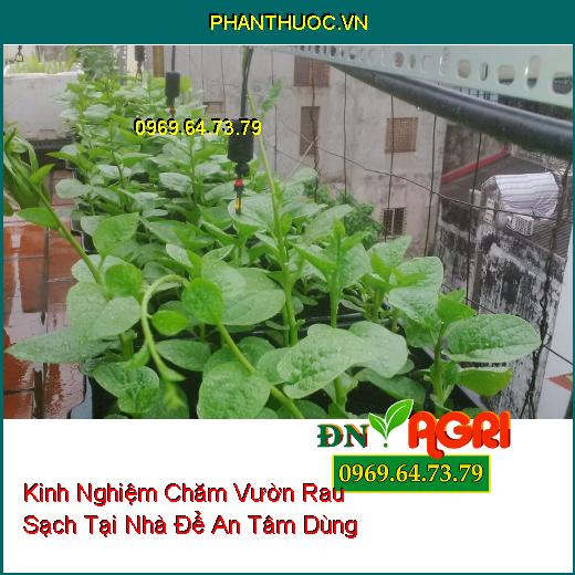 Kinh Nghiệm Chăm Vườn Rau Sạch Tại Nhà Để An Tâm Dùng