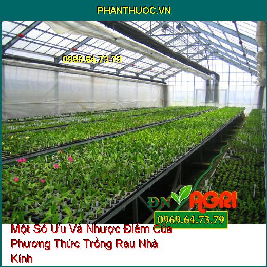 Một Số Ưu Và Nhược Điểm Của Phương Thức Trồng Rau Nhà Kính