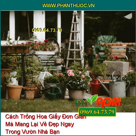 Cách Trồng Hoa Giấy Đơn Giản Mà Mang Lại Vẻ Đẹp Ngay Trong Vườn Nhà Bạn