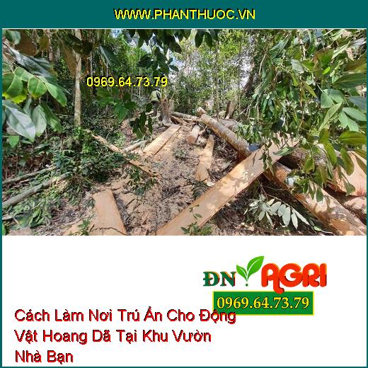 Cách Làm Nơi Trú Ẩn Cho Động Vật Hoang Dã Tại Khu Vườn Nhà Bạn