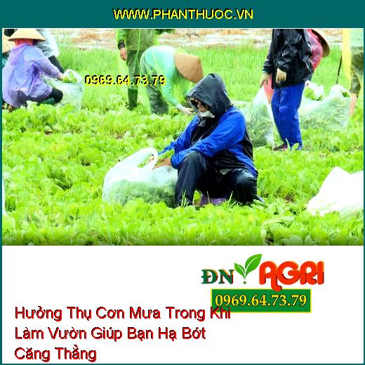 Hưởng Thụ Cơn Mưa Trong Khi Làm Vườn Giúp Bạn Hạ Bớt Căng Thẳng