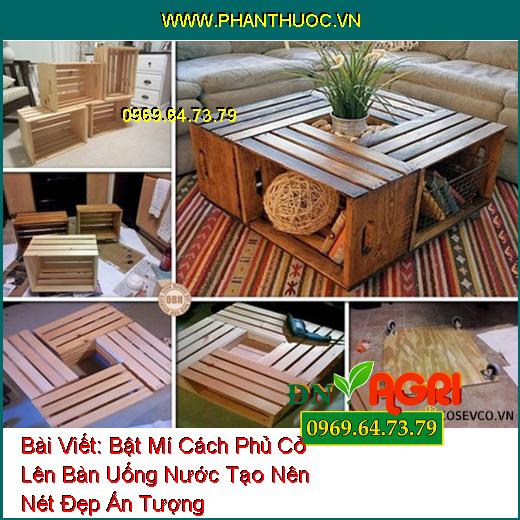 Bật Mí Cách Phủ Cỏ Lên Bàn Uống Nước Tạo Nên Nét Đẹp Ấn Tượng Cho Phòng Khách Nhà Bạn