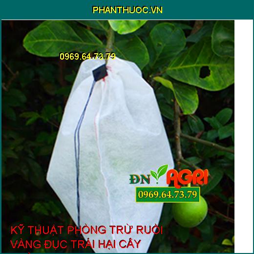 KỸ THUẬT PHÒNG TRỪ RUỒI VÀNG ĐỤC TRÁI HẠI CÂY TRỒNG