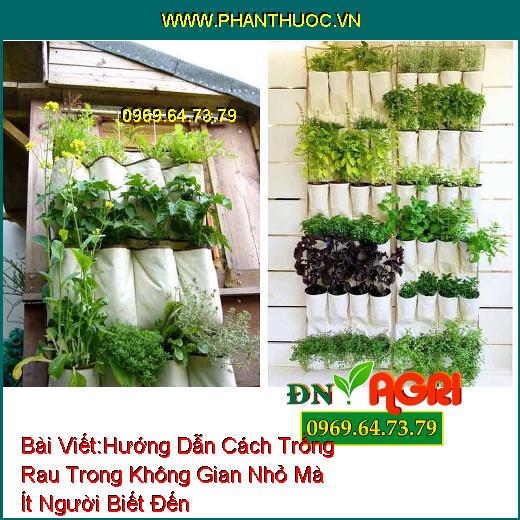 Hướng Dẫn Cách Trồng Rau Trong Không Gian Nhỏ Mà Ít Người Biết Đến