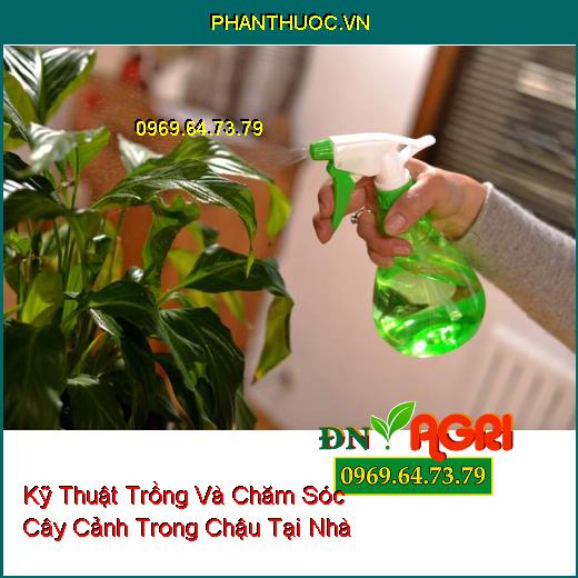 Kỹ Thuật Trồng Và Chăm Sóc Cây Cảnh Trong Chậu Tại Nhà