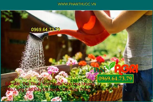 Thủ Thuật Tưới Nước Cho Hoa Nhưng Vẫn Cung Cấp Đầy Đủ Nước Cho Cây Trồng