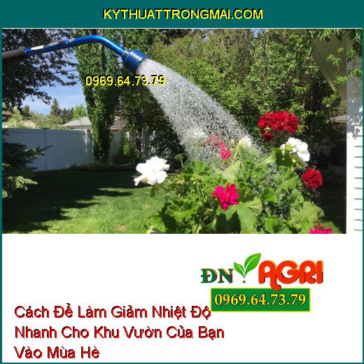 Cách Để Làm Giảm Nhiệt Độ Nhanh Cho Khu Vườn Của Bạn Vào Mùa Hè