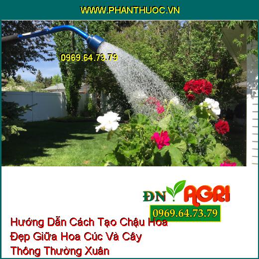 Hướng Dẫn Cách Tạo Chậu Hoa Đẹp Giữa Hoa Cúc Và Cây Thông Thường Xuân