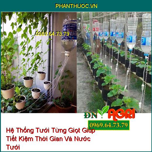 Hệ Thống Tưới Từng Giọt Giúp Tiết Kiệm Thời Gian Và Nước Tưới