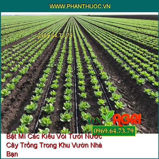 Bật Mí Các Kiểu Vòi Tưới Nước Cây Trồng Trong Khu Vườn Nhà Bạn