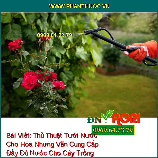 Thủ Thuật Tưới Nước Cho Hoa Nhưng Vẫn Cung Cấp Đầy Đủ Nước Cho Cây Trồng