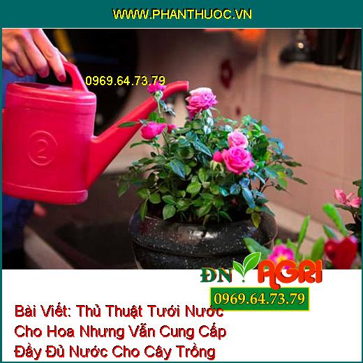 Thủ Thuật Tưới Nước Cho Hoa Nhưng Vẫn Cung Cấp Đầy Đủ Nước Cho Cây Trồng