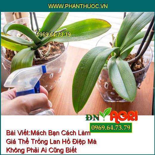 Mách Bạn Cách Làm Giá Thể Trồng Lan Hồ Điệp Mà Không Phải Ai Cũng Biết