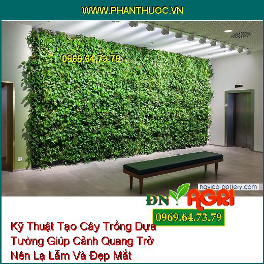 Kỹ Thuật Tạo Cây Trồng Dựa Tường Giúp Cảnh Quang Trở Nên Lạ Lẫm Và Đẹp Mắt