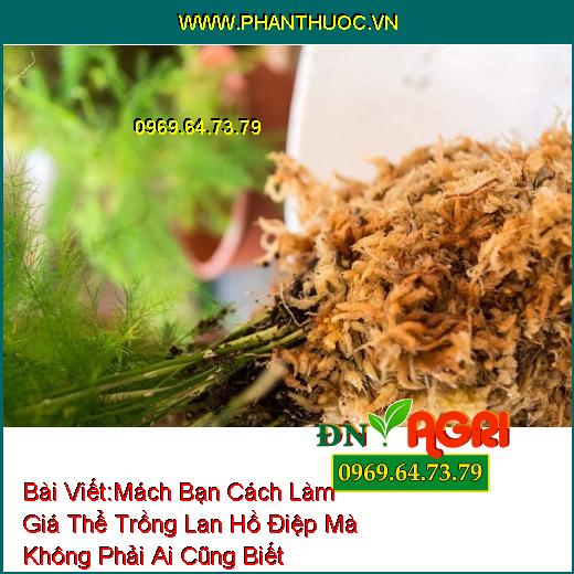 Mách Bạn Cách Làm Giá Thể Trồng Lan Hồ Điệp Mà Không Phải Ai Cũng Biết