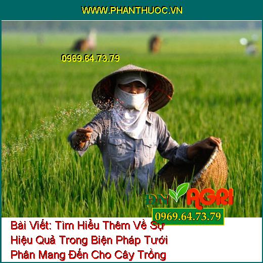 Tìm Hiểu Thêm Về Sự Hiệu Quả Trong Biện Pháp Tưới Phân Mang Đến Cho Cây Trồng