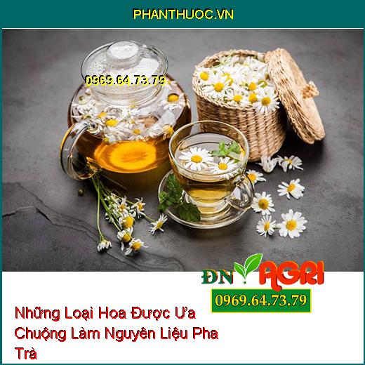 Những Loại Hoa Được Ưa Chuộng Làm Nguyên Liệu Pha Trà