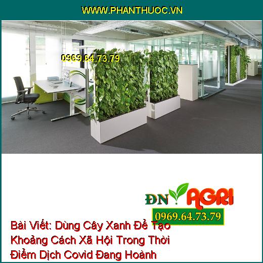 Dùng Cây Xanh Để Tạo Khoảng Cách Xã Hội Trong Thời Điểm Dịch Covid Đang Hoành Hành