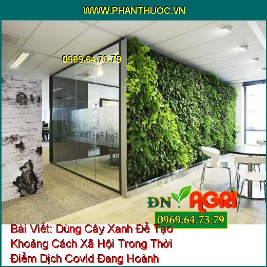 Dùng Cây Xanh Để Tạo Khoảng Cách Xã Hội Trong Thời Điểm Dịch Covid Đang Hoành Hành