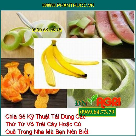 Chia Sẻ Kỹ Thuật Tái Dùng Các Thứ Từ Vỏ Trái Cây Hoặc Củ Quả Trong Nhà Mà Bạn Nên Biết