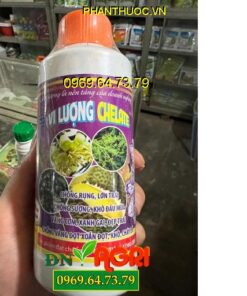 Vi Lượng CHELATE- Chống Rụng- Lớn Trái- Chống Sượng- Khô Đầu Múi- Vàng Cơm