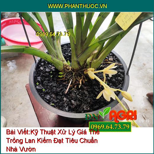 Kỹ Thuật Xử Lý Giá Thể Trồng Lan Kiếm Đạt Tiêu Chuẩn Nhà Vườn