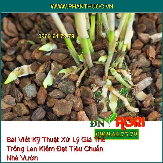 Kỹ Thuật Xử Lý Giá Thể Trồng Lan Kiếm Đạt Tiêu Chuẩn Nhà Vườn