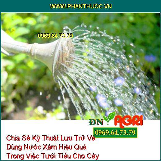 Chia Sẻ Kỹ Thuật Lưu Trữ Và Dùng Nước Xám Hiệu Quả Trong Việc Tưới Tiêu Cho Cây