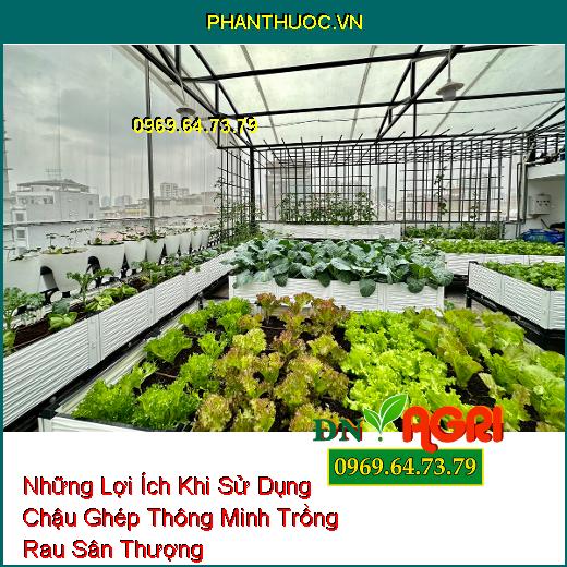 Những Lợi Ích Khi Sử Dụng Chậu Ghép Thông Minh Trồng Rau Sân Thượng