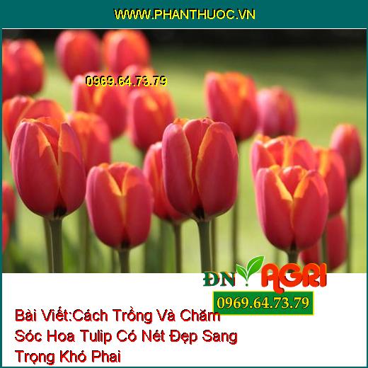 WWW.PhanThuoc.VN