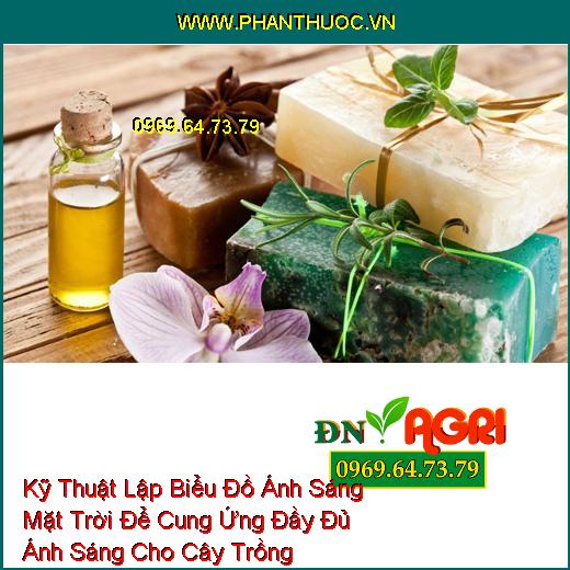 Chia Sẻ Cho Bạn Cách Làm Xà Phòng Rửa Tay Ngay Tại Nhà Đơn Giản Mà Hiệu Quả