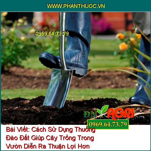 Cách Sử Dụng Thuổng Đào Đất Giúp Cây Trồng Trong Vườn Diễn Ra Thuận Lợi Hơn