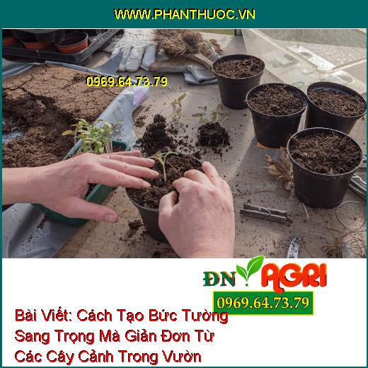 Cách Tạo Bức Tường Sang Trọng Mà Giản Đơn Từ Các Cây Cảnh Trong Vườn