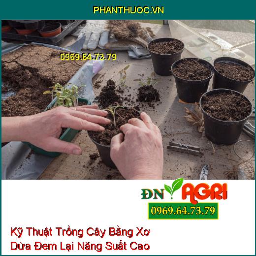 Kỹ Thuật Trồng Cây Bằng Xơ Dừa Đem Lại Năng Suất Cao