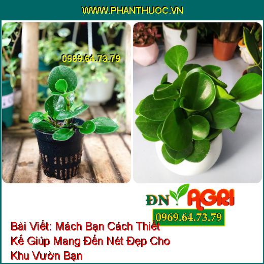 Mách Bạn Cách Thiết Kế Giúp Mang Đến Nét Đẹp Cho Khu Vườn Bạn 