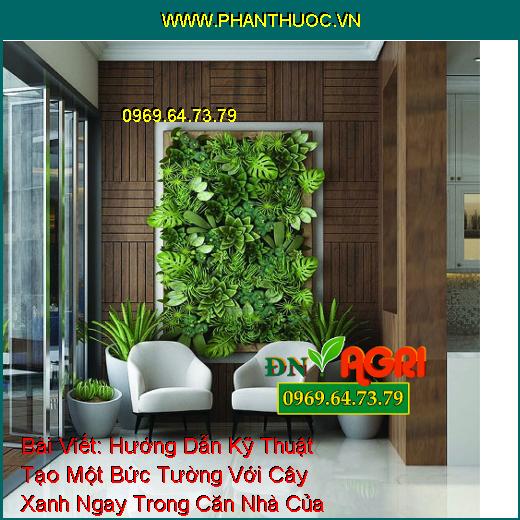 Hướng Dẫn Kỹ Thuật Tạo Một Bức Tường Với Cây Xanh Ngay Trong Căn Nhà Của Bạn