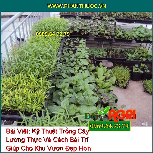 Kỹ Thuật Trồng Cây Lương Thực Và Cách Bài Trí Giúp Cho Khu Vườn Đẹp Hơn